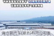 賽力斯汽車(湖北)有限公司重慶分公單位電話_重慶賽力斯公司簡介