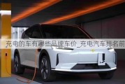 充電的車有哪些品牌車價_充電汽車排名前十名