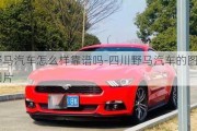 四川野馬汽車怎么樣靠譜嗎-四川野馬汽車的圖片和價格圖片