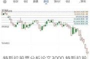 特斯拉股票分析論文3000,特斯拉股票基本面分析