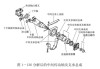 電機(jī)的傳動軸-汽車傳動軸電機(jī)原理