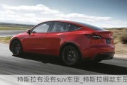 特斯拉有沒(méi)有suv車型_特斯拉哪款車是suv