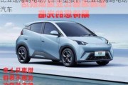 比亞迪海鷗電動(dòng)汽車車型報(bào)價(jià)-比亞迪海鷗電動(dòng)汽車