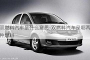 雙燃料汽車是什么意思-雙燃料汽車是哪兩種燃料