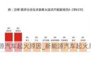 新能源汽車起火原因_新能源汽車起火原因分析