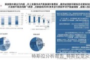 特斯拉分析報告_特斯拉受眾分析