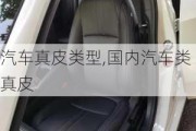 汽車真皮類型,國(guó)內(nèi)汽車類真皮