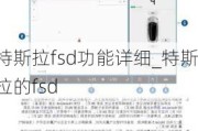 特斯拉fsd功能詳細_特斯拉的fsd