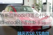 特斯拉model3適合什么人群-model3適合新手嗎