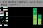發(fā)展生物質(zhì)能的重要性和必要性_發(fā)展生物質(zhì)能以及相關(guān)的新能源汽車產(chǎn)業(yè)