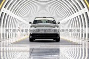 賽力斯汽車(chē)是什么牌子的車(chē)-賽力斯是哪個(gè)車(chē)企