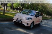 金華產(chǎn)電動(dòng)小汽車_金華電動(dòng)汽車廠家有哪些