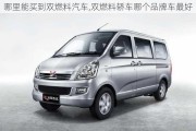 哪里能買(mǎi)到雙燃料汽車(chē),雙燃料轎車(chē)哪個(gè)品牌車(chē)最好