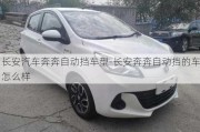 長安汽車奔奔自動擋車型-長安奔奔自動擋的車怎么樣