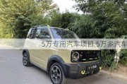 5萬專用汽車項(xiàng)目,5萬多汽車