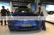 特斯拉30萬的車,特斯拉30萬車型號