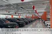 哈爾濱汽車空調(diào)專業(yè)維修公司排名_哈爾濱汽車空調(diào)專業(yè)維修公司