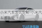 小米汽車怎么定制-小米汽車怎么定