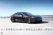 什么人買特斯拉model s-特斯拉適合哪些人群組成車型