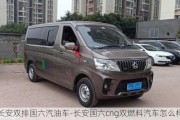 長(zhǎng)安雙排國(guó)六汽油車-長(zhǎng)安國(guó)六cng雙燃料汽車怎么樣