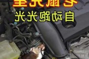 汽車防鼠神器怎么使用_車子防鼠