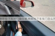 特斯拉下車開門鍵在哪,特斯拉下車車門怎么開