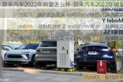 蔚來(lái)汽車2022年銷量怎么樣-蔚來(lái)汽車2022年銷量