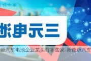 新能源汽車電池企業(yè)龍頭有哪些家-新能源汽車電池企業(yè)