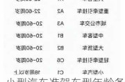 小型汽車準駕車型年齡條件是多少年_小型汽車準駕車型年齡條件是多少