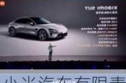 小米汽車有限責(zé)任公司,小米汽車有限公司 愛企查