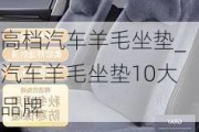 高檔汽車羊毛坐墊_汽車羊毛坐墊10大品牌