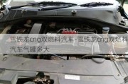 雪鐵龍cng雙燃料汽車-雪鐵龍cng雙燃料汽車氣罐多大