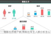 特斯拉的客戶群,特斯拉車主人群分析怎么寫