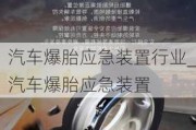 汽車爆胎應急裝置行業(yè)_汽車爆胎應急裝置