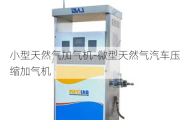 小型天然氣加氣機-微型天然氣汽車壓縮加氣機