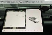 ns特斯拉怎么呼出_switch特斯拉呼不出來