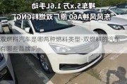 雙燃料汽車(chē)是哪兩種燃料類(lèi)型-雙燃料的汽車(chē)有哪些品牌啊