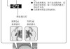 奧迪a6的換擋撥片怎么使用_奧迪a6換擋撥片怎么用