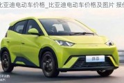 比亞迪電動車價格_比亞迪電動車價格及圖片 報價