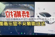 特斯拉攝像頭不顯示畫(huà)面,特斯拉攝像頭不顯示