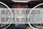 黑豹汽車油耗高嗎-黑豹汽車油耗