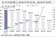 溫州汽車城二手車市場分析_溫州汽車城二手車市場分析