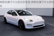 特斯拉屬于什么檔次的車型,特斯拉屬于什么檔次的車