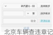 北京車輛查違章記錄,北京汽車違章查詢要多久才能查到