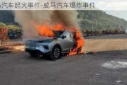 威馬汽車起火事件-威馬汽車爆炸事件