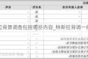 特斯拉背景調(diào)查包括哪些內(nèi)容_特斯拉背調(diào)一般調(diào)查什么