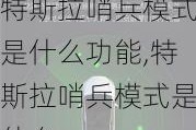 特斯拉哨兵模式是什么功能,特斯拉哨兵模式是什么