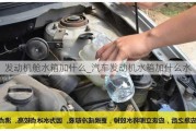 發(fā)動機艙水箱加什么_汽車發(fā)動機水箱加什么水