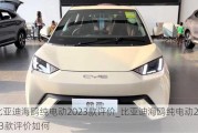 比亞迪海鷗純電動2023款評價_比亞迪海鷗純電動2023款評價如何