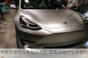 特斯拉是什么車型的車標-特斯拉是什么車型的車